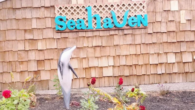 Sea Haven Resort Motel - Genel