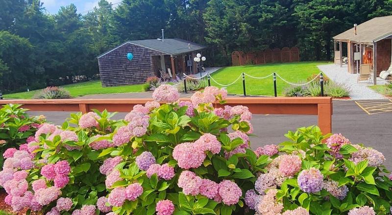 Sea Haven Resort Motel - Genel