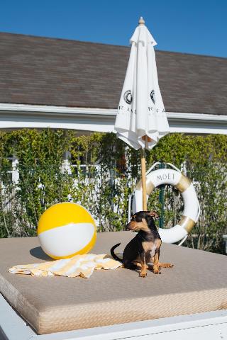 Capri fotoÄŸrafÄ±
