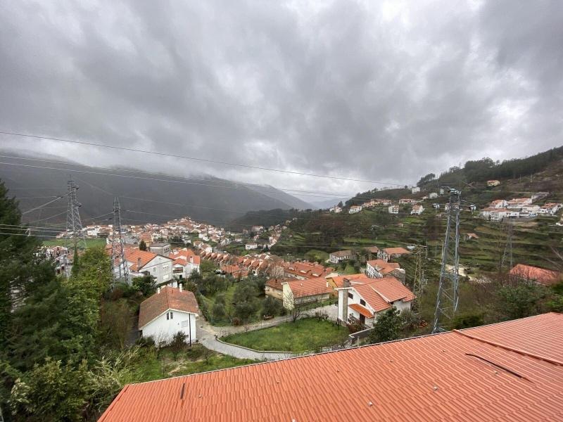 O Vicente - Genel