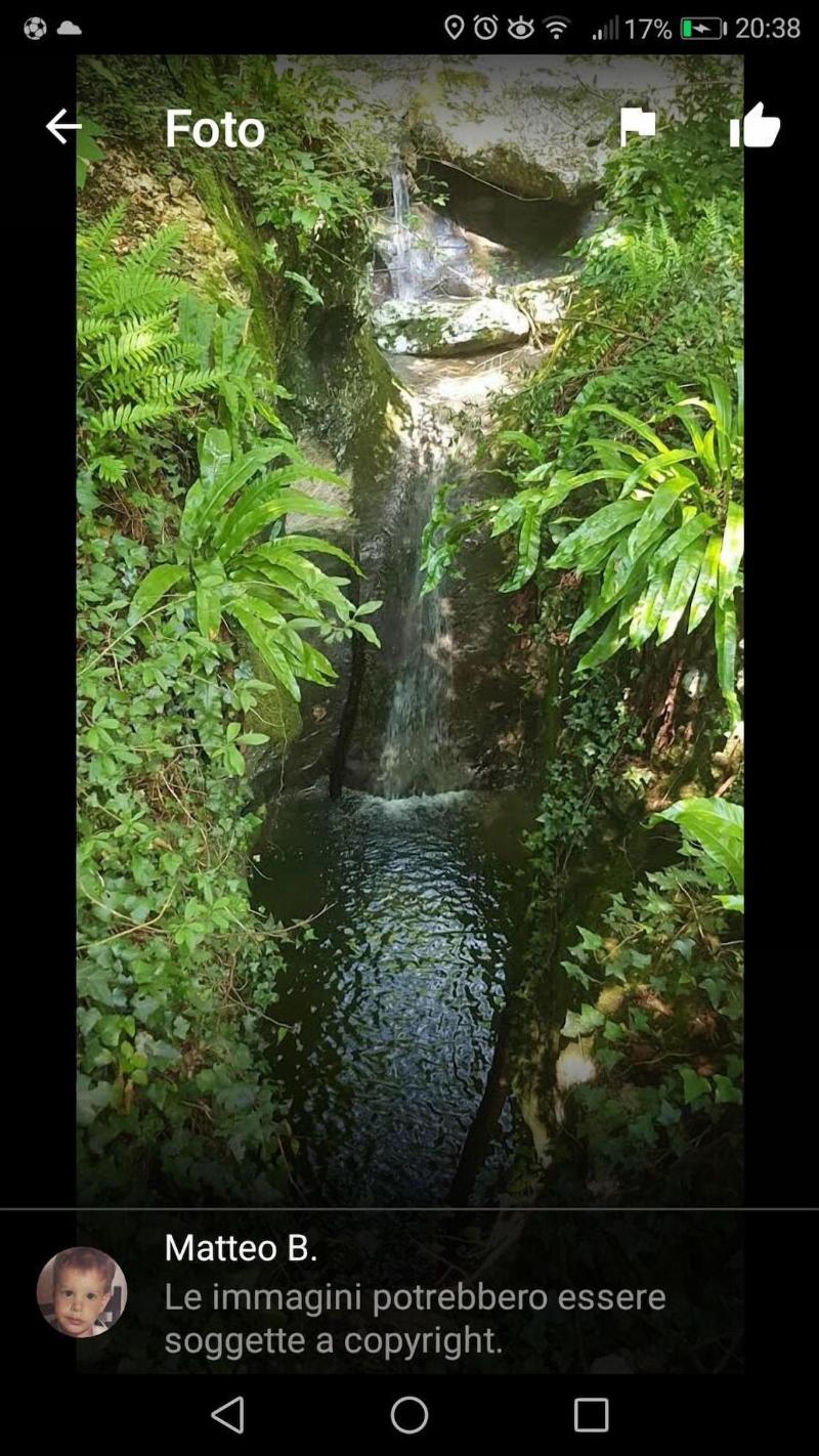 Bb Molina - Genel