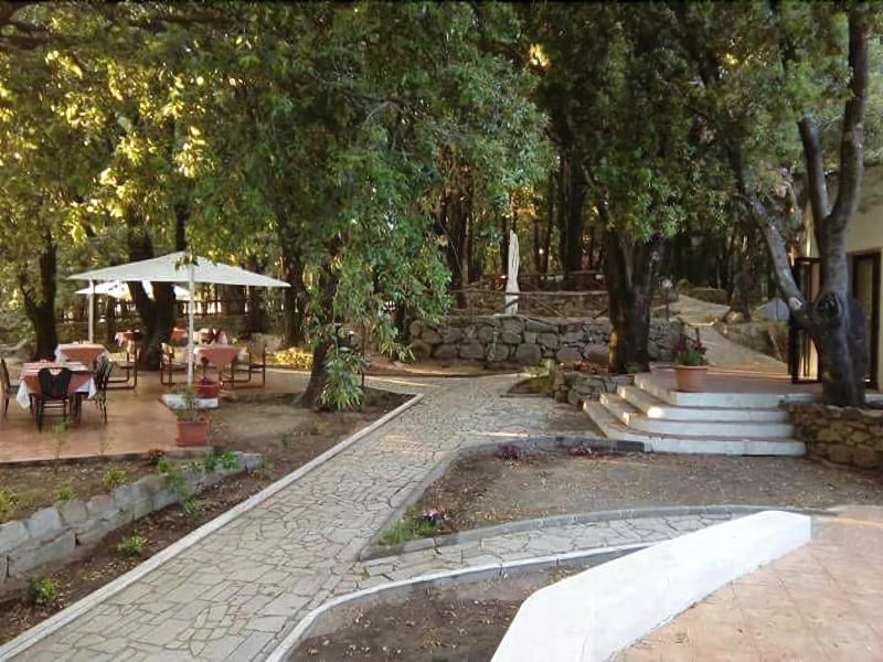 Hotel Bosco Selene - Genel