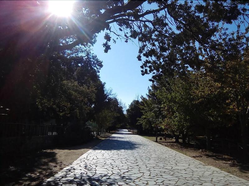 Hotel Bosco Selene - Genel