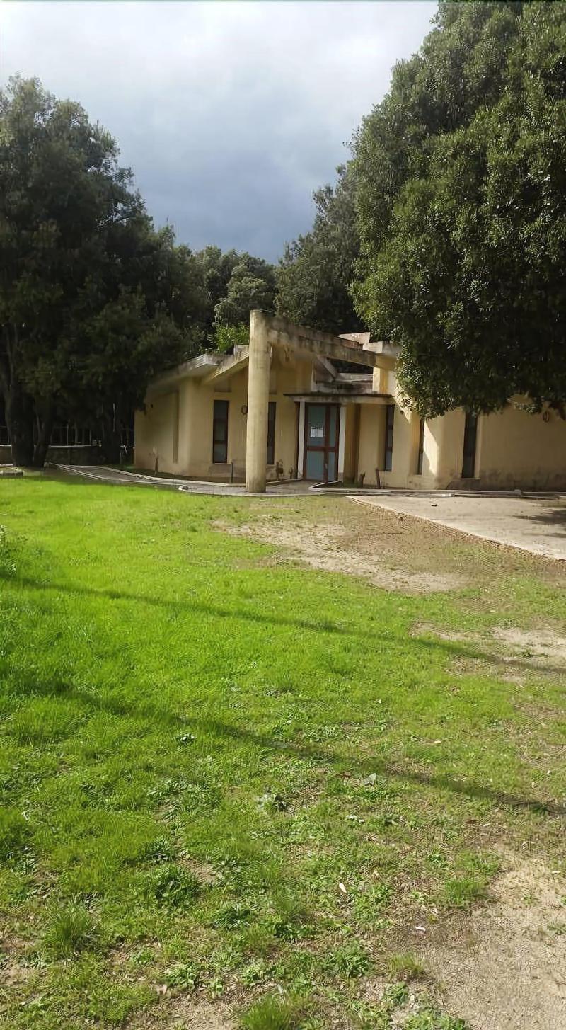 Hotel Bosco Selene - Genel