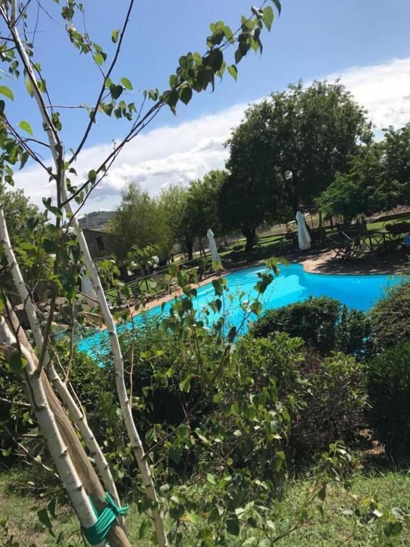Azienda Agrituristica I Tre Casali - Aktivite