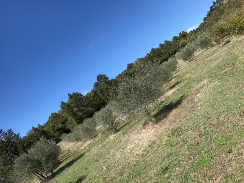 Azienda Agrituristica I Tre Casali - Genel