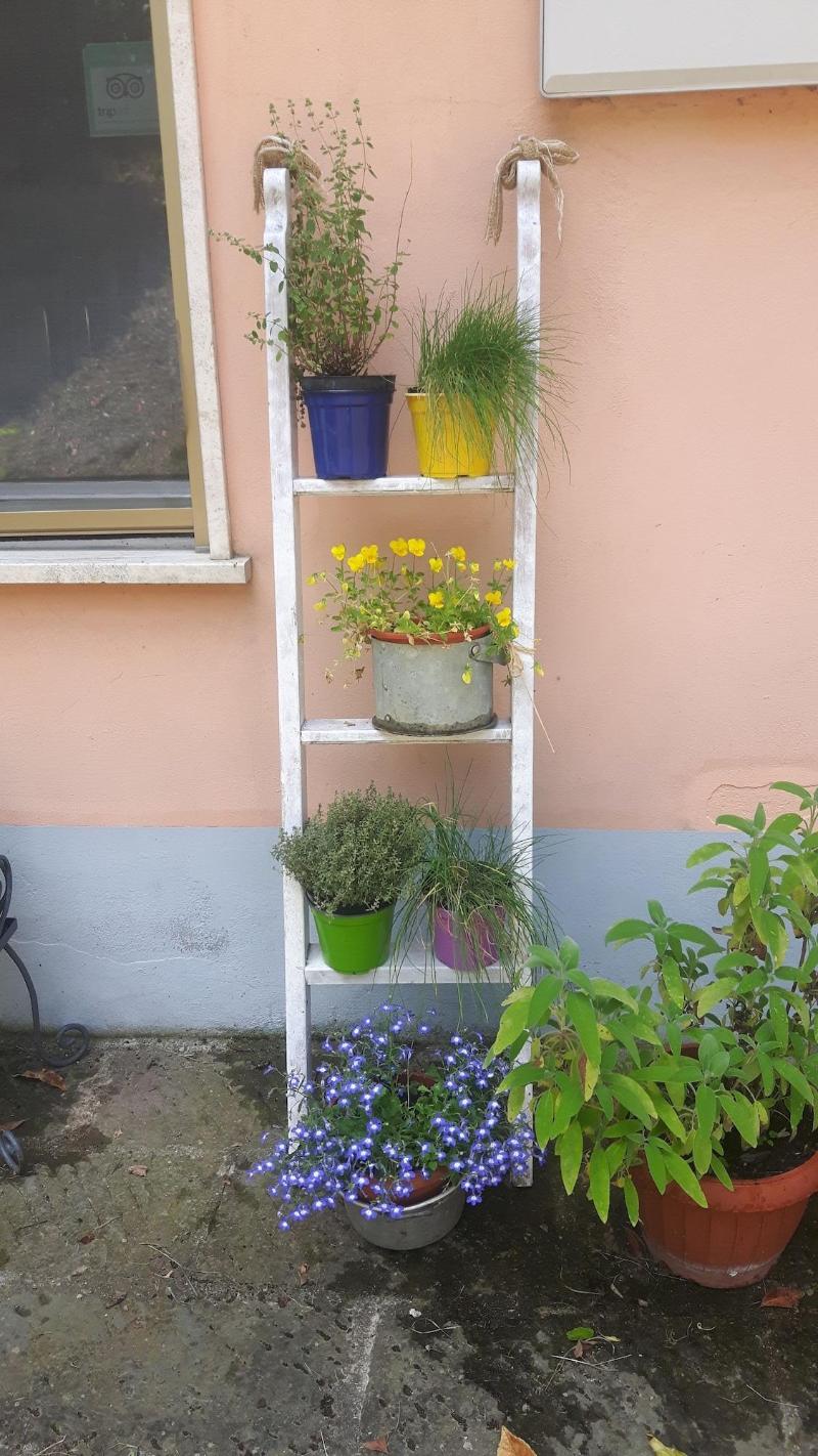 B&B Scacco Matto - Genel