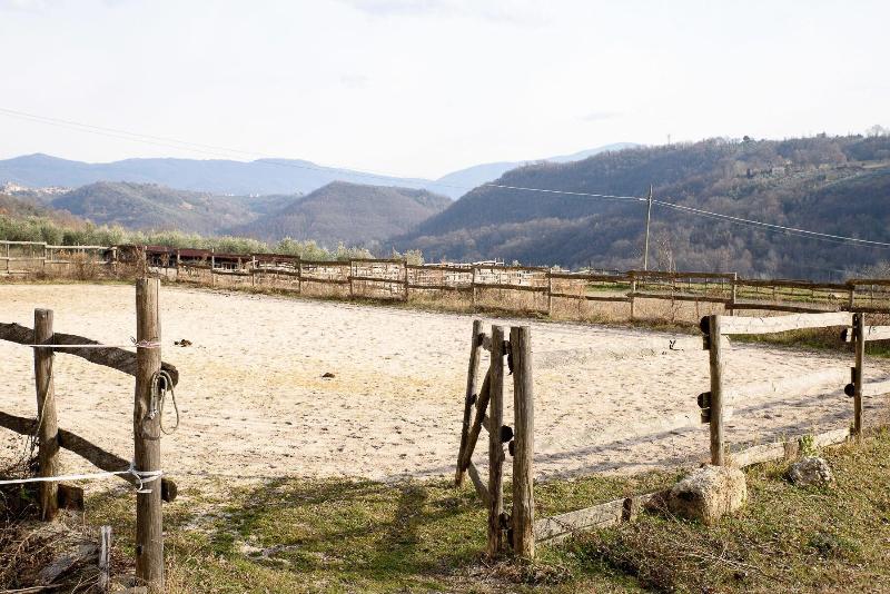 La Tenuta - Resort Agricolo - Genel