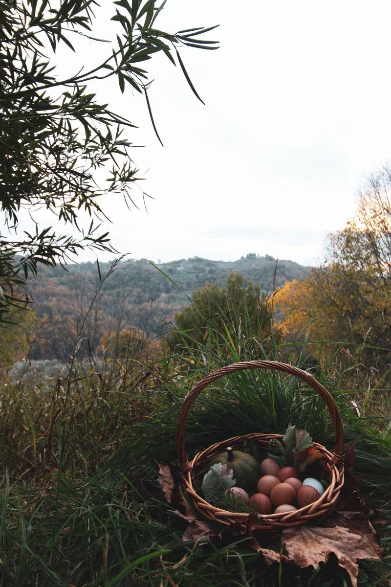 La Tenuta - Resort Agricolo - Genel