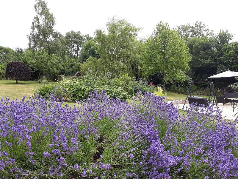 Stoneleigh Barn Bed And Breakfast - Genel