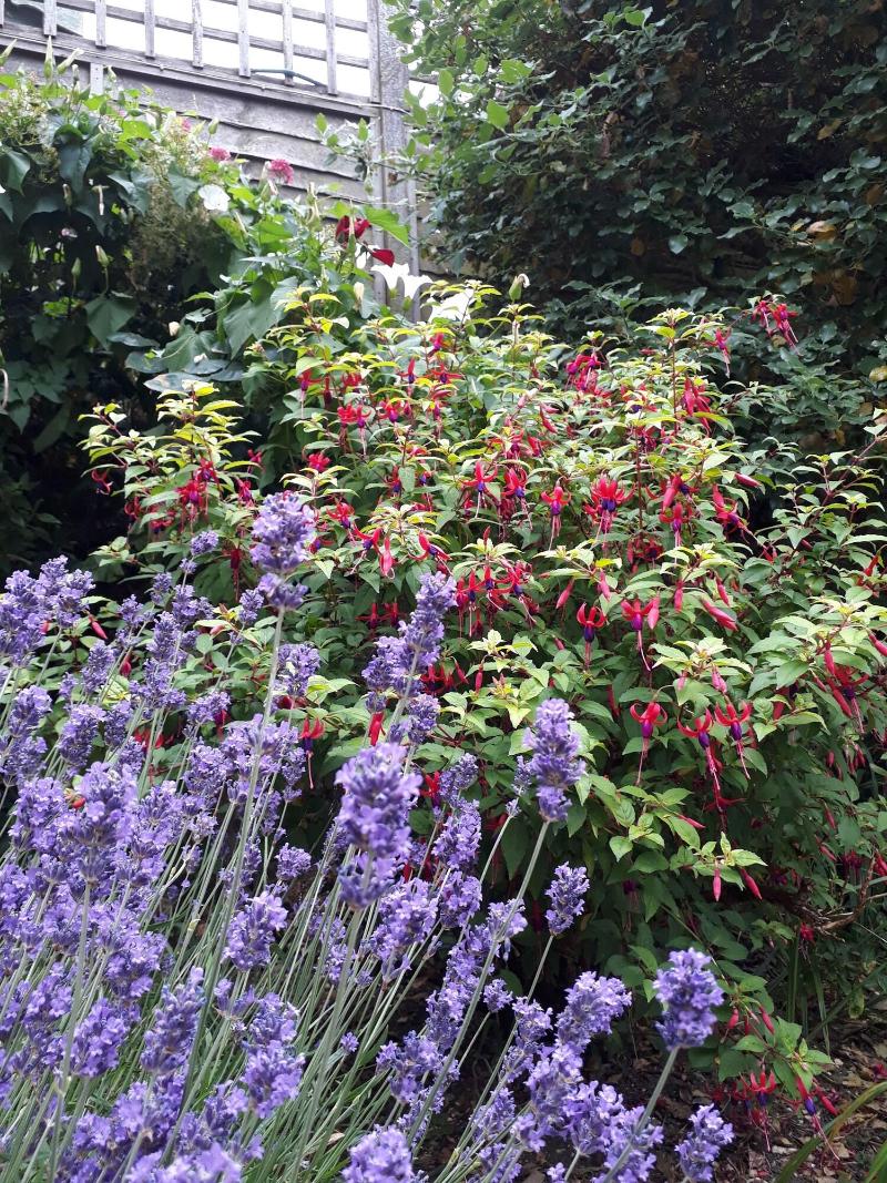 Stoneleigh Barn Bed And Breakfast - Genel