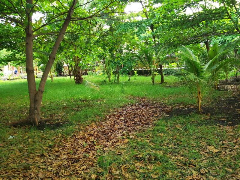 Budi Sun Resort - Genel