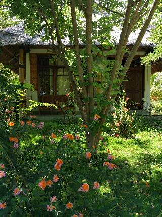 Budi Sun Resort fotoÄŸrafÄ±
