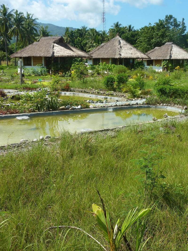 Budi Sun Resort - Genel
