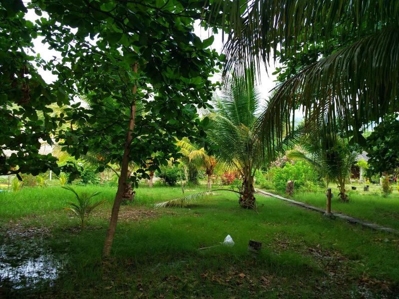 Budi Sun Resort - Genel