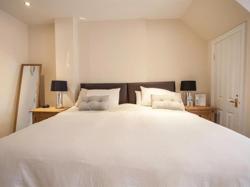 The White Swan Inn - Aktivite