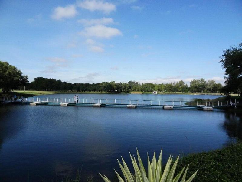 The Beverly Hills - Genel