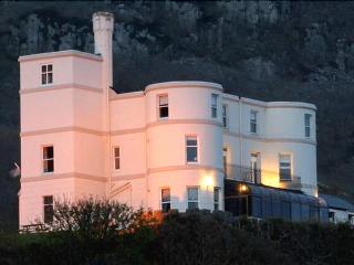 Tyr Graig Castle otel fotoğrafı