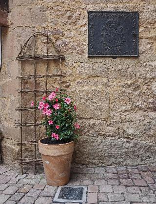 Schloss Spangenberg fotoÄŸrafÄ±