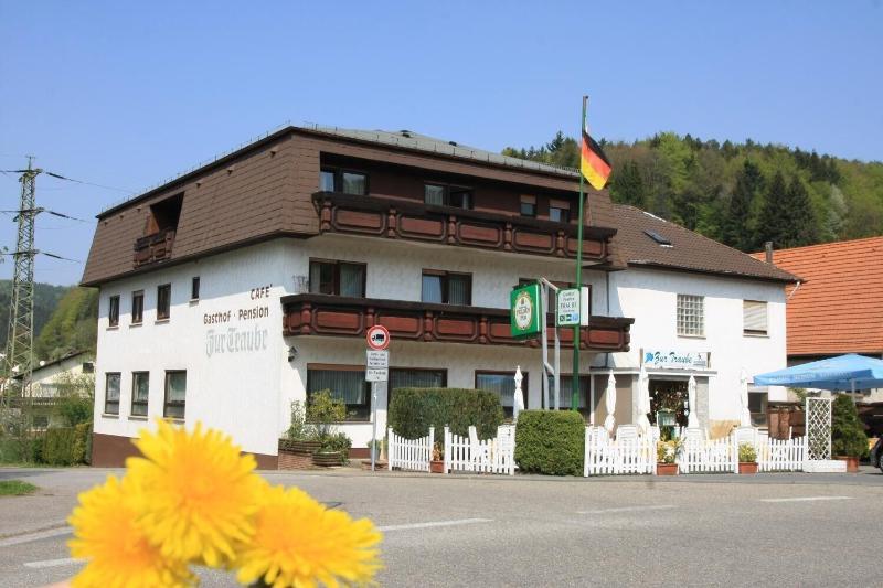 Gasthof Pension Zur Traube - Genel