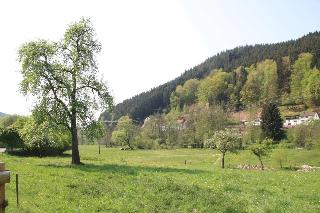 Gasthof Pension Zur Traube fotoÄŸrafÄ±
