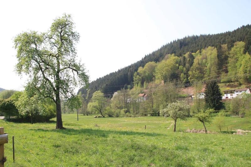 Gasthof Pension Zur Traube - Genel