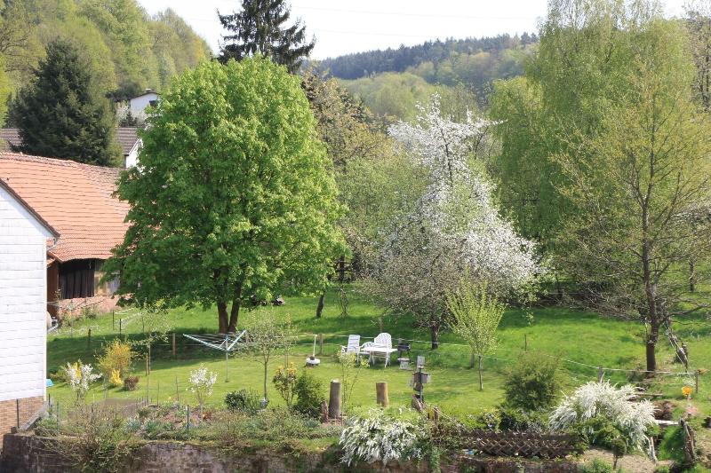 Gasthof Pension Zur Traube - Genel