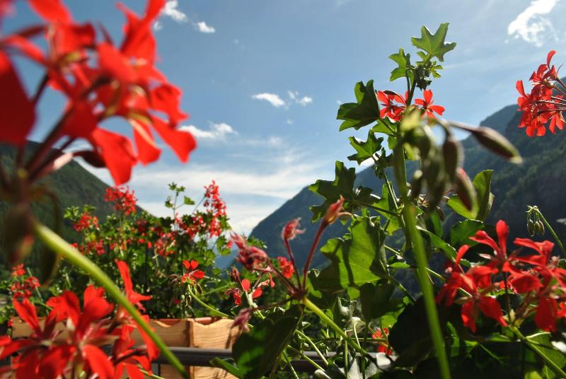 Hotel Millefiori - Oda