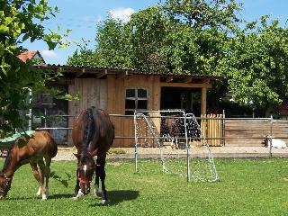 Landhotel Zum Adler fotoÄŸrafÄ±