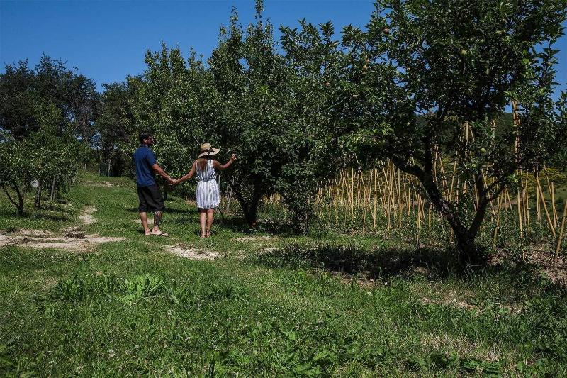 Ristoro Appennino - Genel