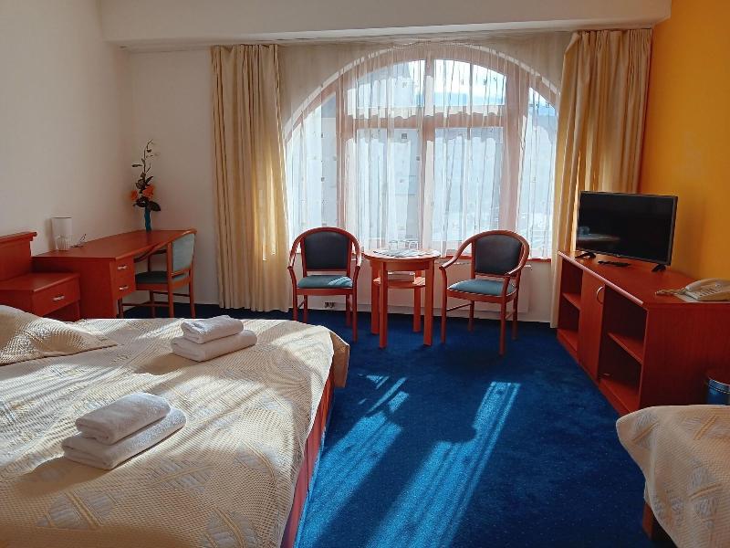 Hotel U Beránka - Oda