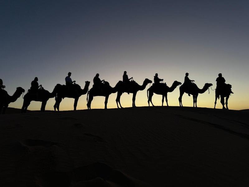 Sahara Magic Luxury Camp - Genel