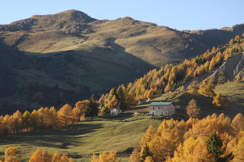 Euro Hotel - Oda