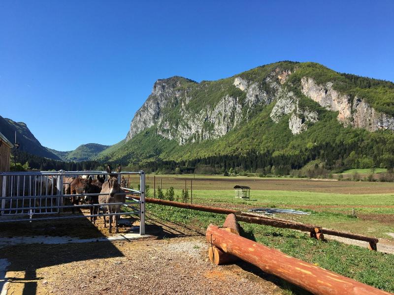 Hotel Posta - Aktivite
