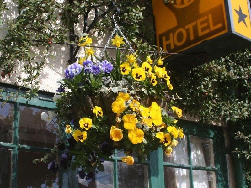 The Crown Hotel - Genel