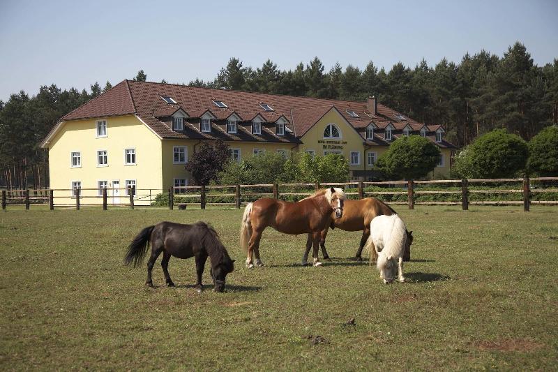 Ferien Hotel Fläming - Aktivite