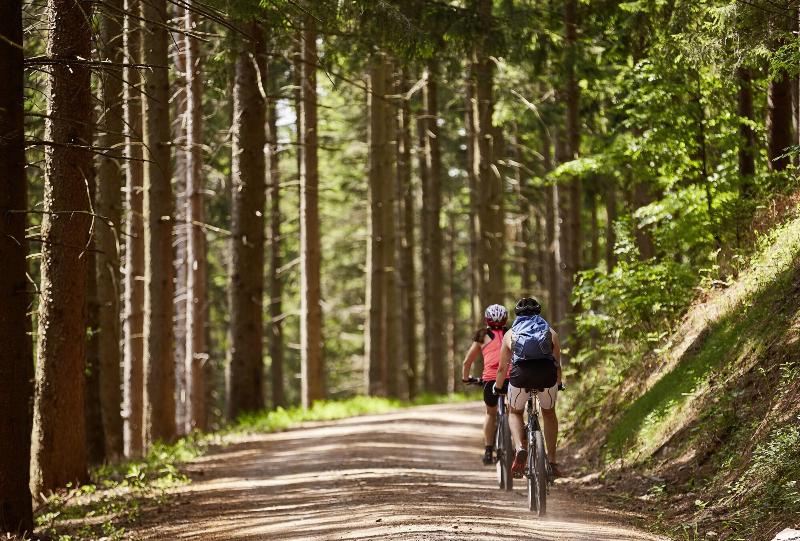 ElzLand Hotel Pfauen WELLNESS, SPA & VITALIS HOTEL - Aktivite
