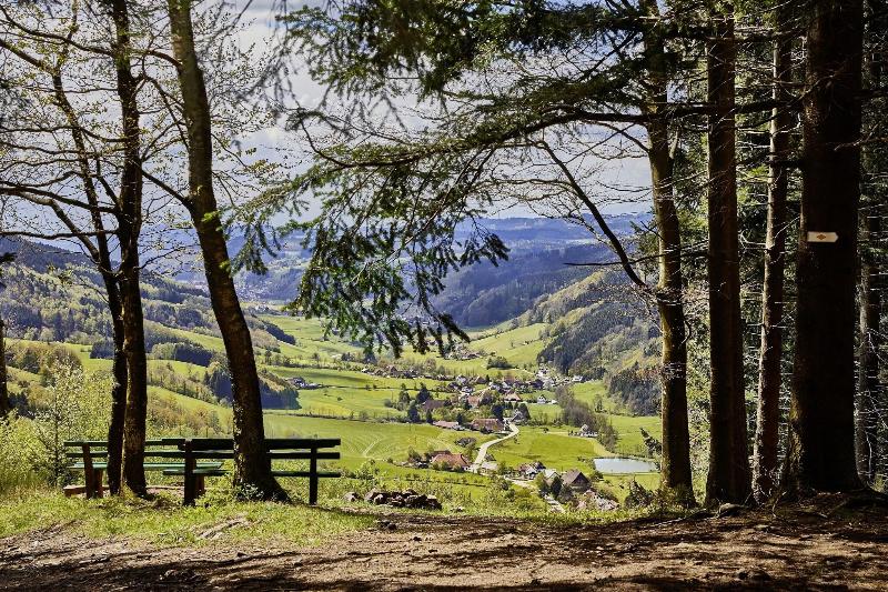 ElzLand Hotel Pfauen WELLNESS, SPA & VITALIS HOTEL - Aktivite