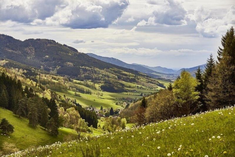 ElzLand Hotel Pfauen WELLNESS, SPA & VITALIS HOTEL - Genel