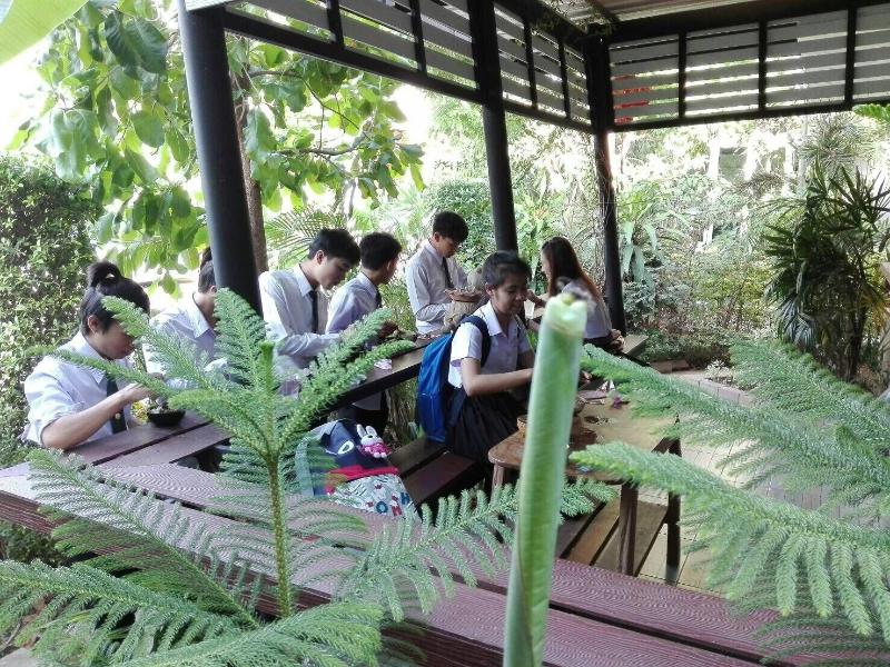 Nature Park Resort - Oda
