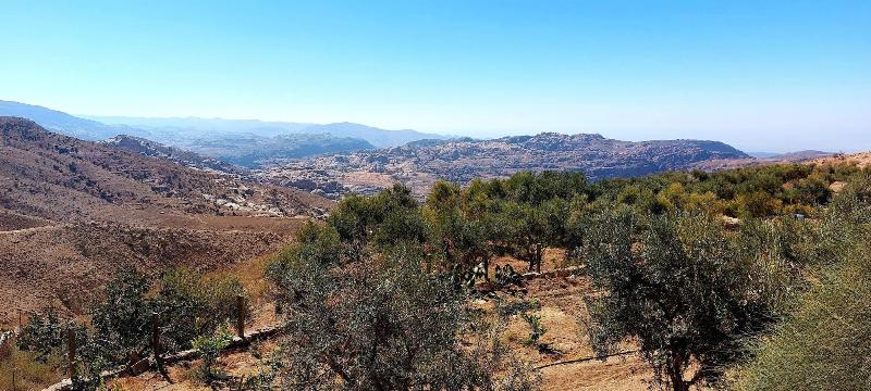 Hayat Zaman Hotel & Resort - Genel