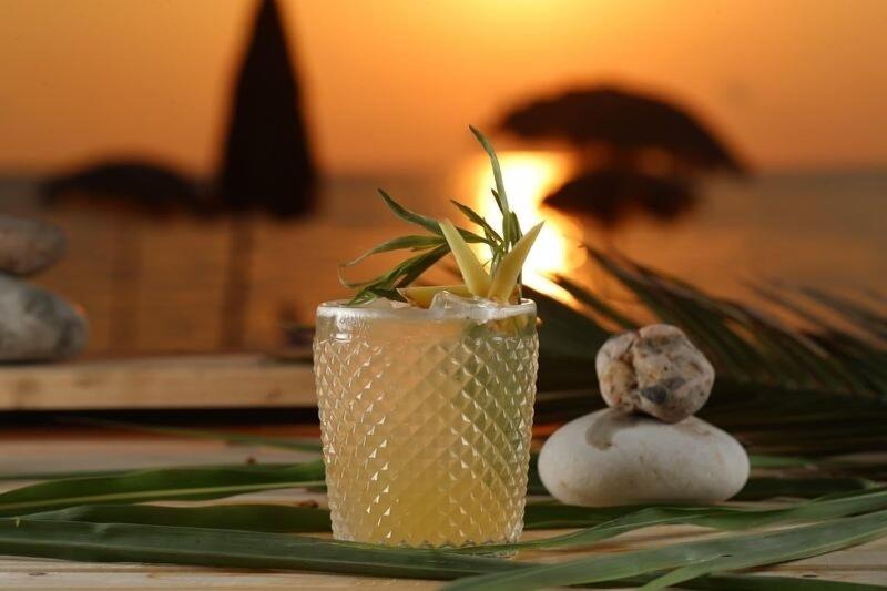 Hotel Dreamland Oasis - Bar