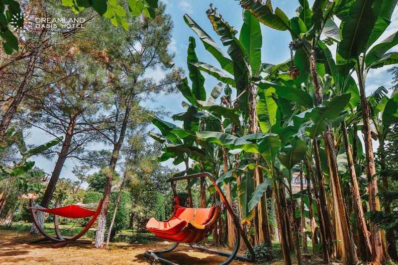 Hotel Dreamland Oasis - Genel