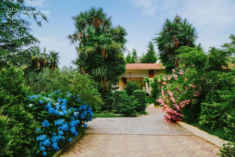 Hotel Dreamland Oasis - Genel