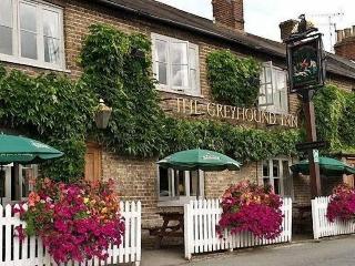 The Greyhound Inn Aldbury otel fotoğrafı