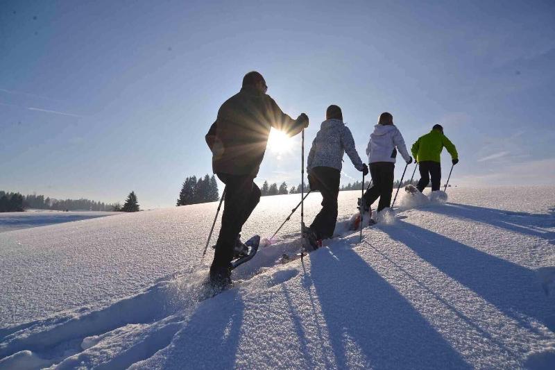 Hotel Allgäu Garni - Aktivite