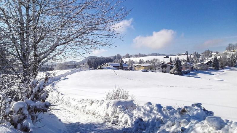 Hotel Allgäu Garni - Aktivite