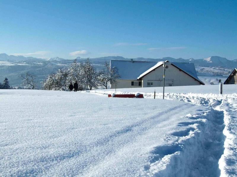 Hotel Allgäu Garni - Aktivite