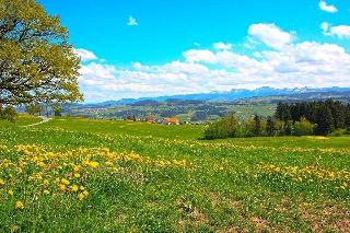 Hotel Allgäu Garni fotoÄŸrafÄ±