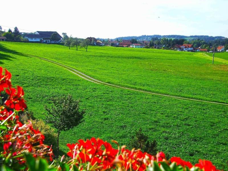 Hotel Allgäu Garni - Genel